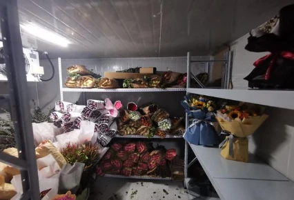 Cold Storage for Fruits and Vegetables Air Circulation Optimization