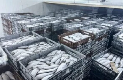 Walk in Cooler Sliding Door Anti-Frost Seal Design