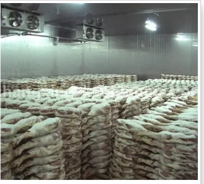 Reliable Cold Storage Rooms for Sale and Modern Industrial Refrigeration Solutions