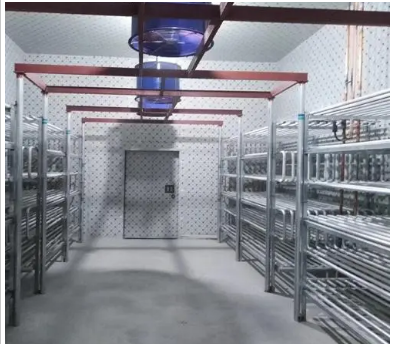 Next-Generation IQF Solutions: From Small IQF Freezer to Emergency Cold Storage Technologies