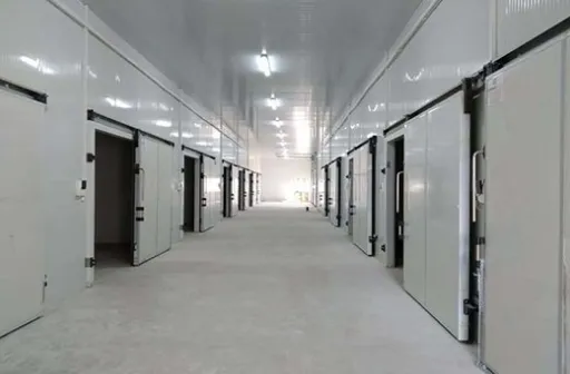 IQF Freezer Locks in Freshness