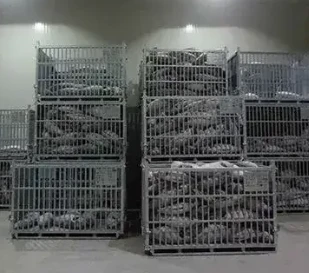 Portable Small Cold Room for Sale