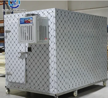 Small Cold Room for Sale – Big Cooling Savings!