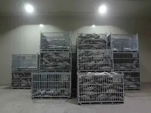 china catering refrigeration equipment