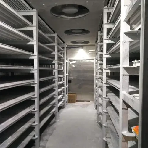 Cold Freezer Rooms: Everything You Need to Know