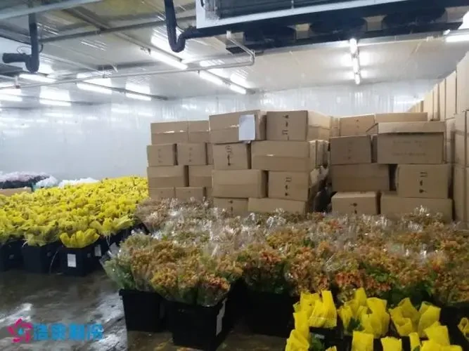 oem container cold room price