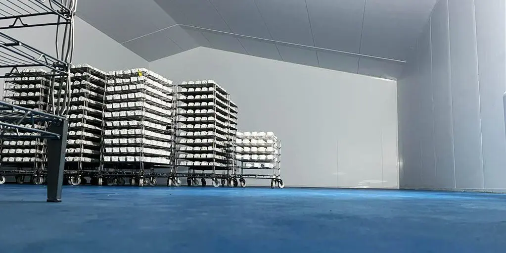 water chiller cooling system factory