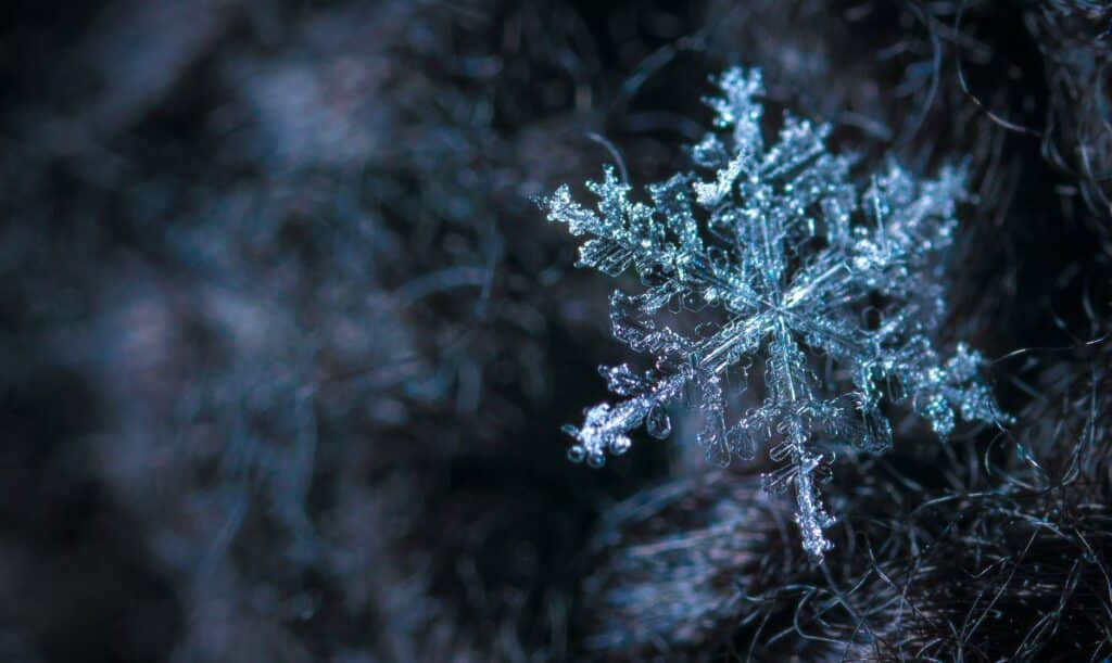 From Water to Ice: The Fascinating Science of Tube Ice Making Process ICE MACHINE