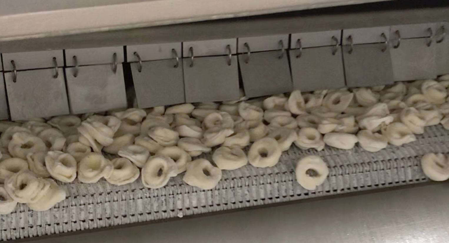 Mechanical vs Cryogenic IQF: The Individual Quick Freeze Guide for Food Processors iqf freezer