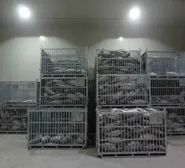 Enhance Your Food Storage Solutions with a Cold Room