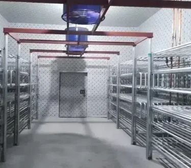 Explore Premium Walk In Cold Rooms for Sale