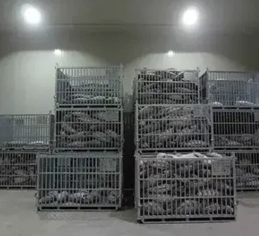 The Benefits of a Blast Freezer for Your Business