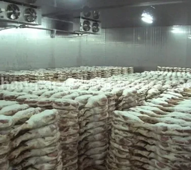 Why a Blast Freezer is Essential for Your Business Needs