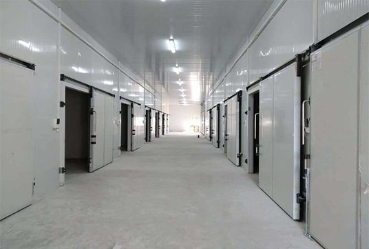 everlasting blast freezer company