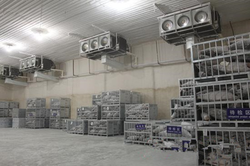 high quality water cooled scroll chiller