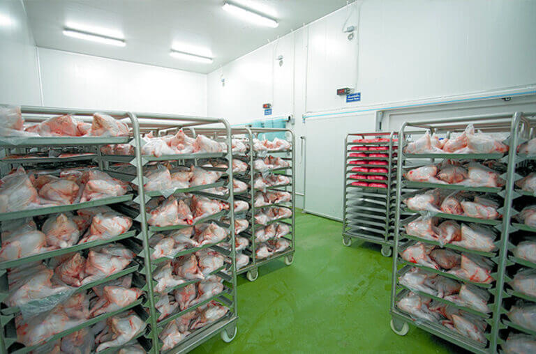 industrial frigo chiller manual manufacturers
