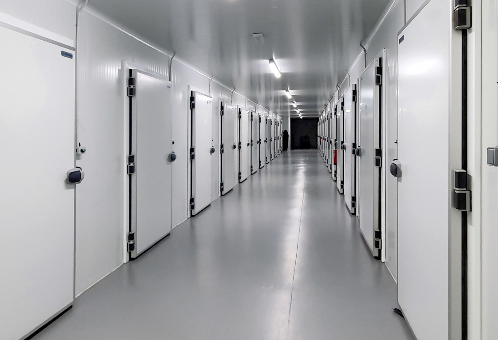 china cold room compressor unit
