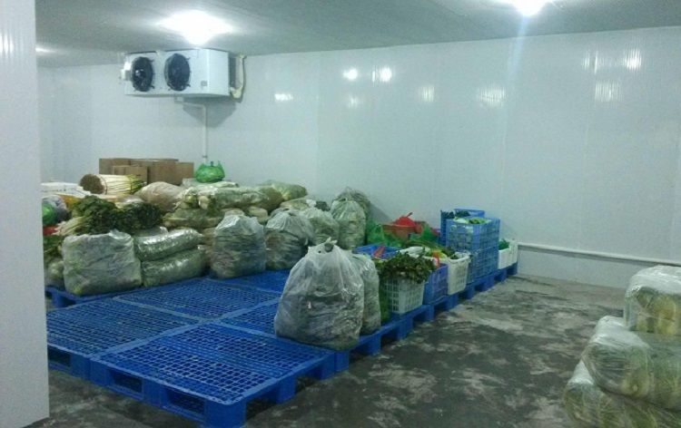 condensing unit refrigeration factories