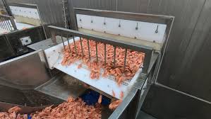 oem ice machine costco