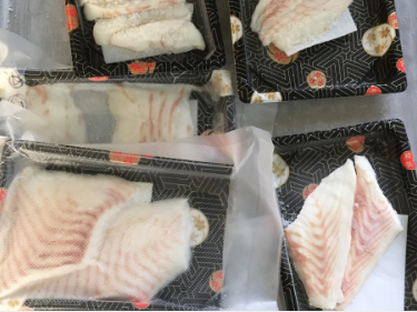 china cold room freezer