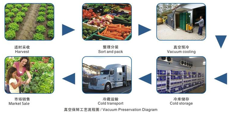 active aqua water chiller supplier