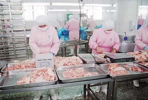 china true blast freezer