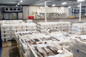 Electric Defrost Evaporators   High-Efficiency Solutions & Manufacturers