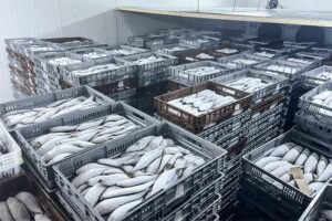 air chiller system factories