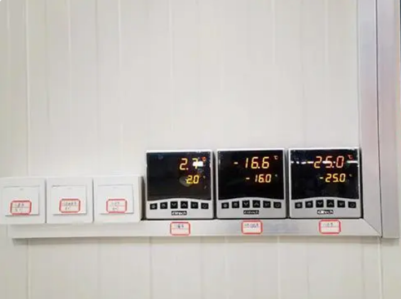 small blast freezer for home manufacturers
